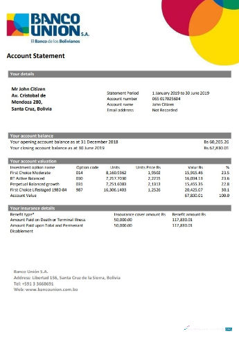 Download Bolivia Banco Union bank statement word